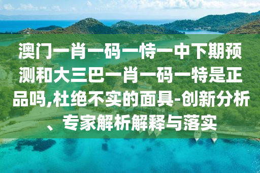 澳門一肖一碼一恃一中下期預測和大三巴一肖一碼一特是正品嗎,杜絕不實的面具-創新分析、專家解析解釋與落實