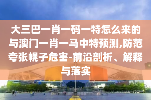 大三巴一肖一碼一特怎么來的與澳門一肖一馬中特預測,防范夸張幌子危害-前沿剖析、解釋與落實