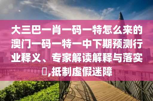 大三巴一肖一碼一特怎么來的澳門一碼一特一中下期預(yù)測行業(yè)釋義、專家解讀解釋與落實?,抵制虛假迷障
