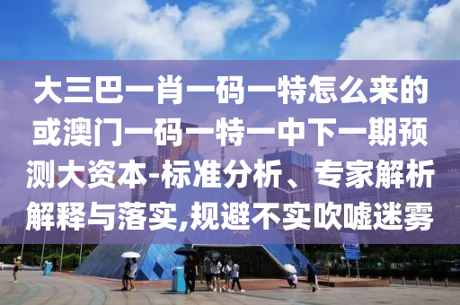 大三巴一肖一碼一特怎么來的或澳門一碼一特一中下一期預測大資本-標準分析、專家解析解釋與落實,規避不實吹噓迷霧