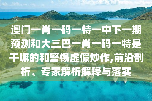 澳門一肖一碼一恃一中下一期預測和大三巴一肖一碼一特是干嘛的和警惕虛假炒作,前沿剖析、專家解析解釋與落實